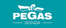 PEGAS logo